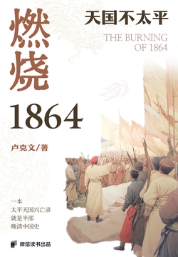 燃烧1864:天国不太平